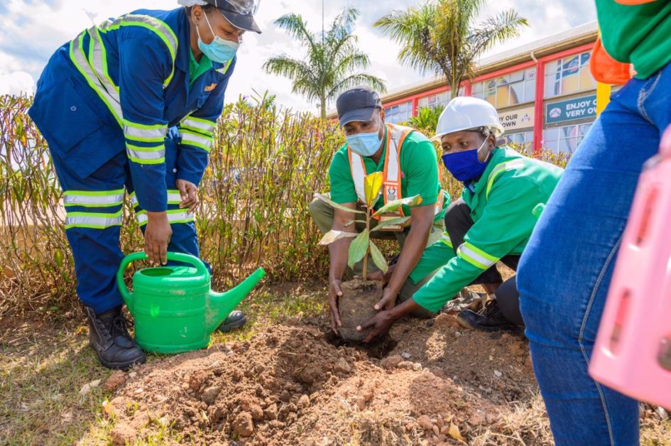 world-environment-day-nile-breweries-renews-pledge-to-protect